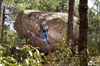 MÃ¶fa in "Bloque Fontain"